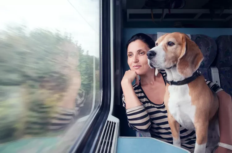 En El Camino Con Mascotas: Explora Apps de Viaje Amigables Para Mascotas