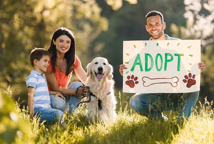 Descubriendo Amigos Peludos: Las Mejores Apps para Adopción de Mascotas para Ti
